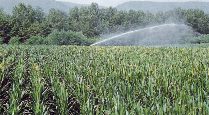 Acqua: serve un nuovo patto che definisca il deflusso minimo vitale a seconda dei territori e degli usi