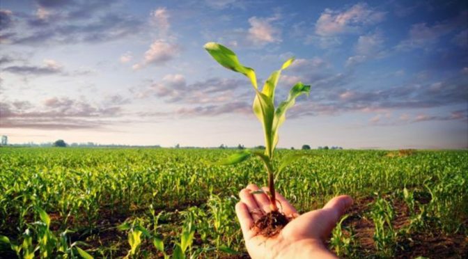 Agricoltura biologica Piloni (PD): “Chiederemo subito che vengano assegnate nuove risorse”
